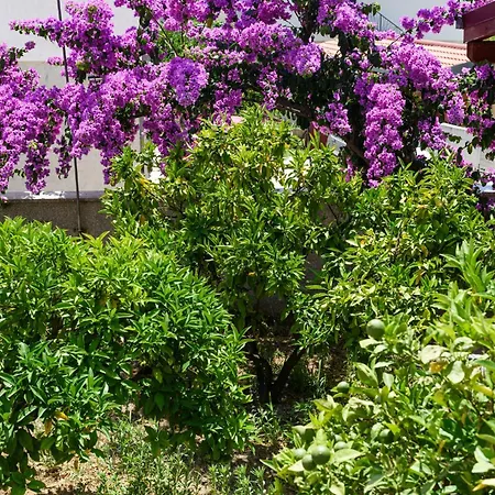 Jozic Апартаменти *